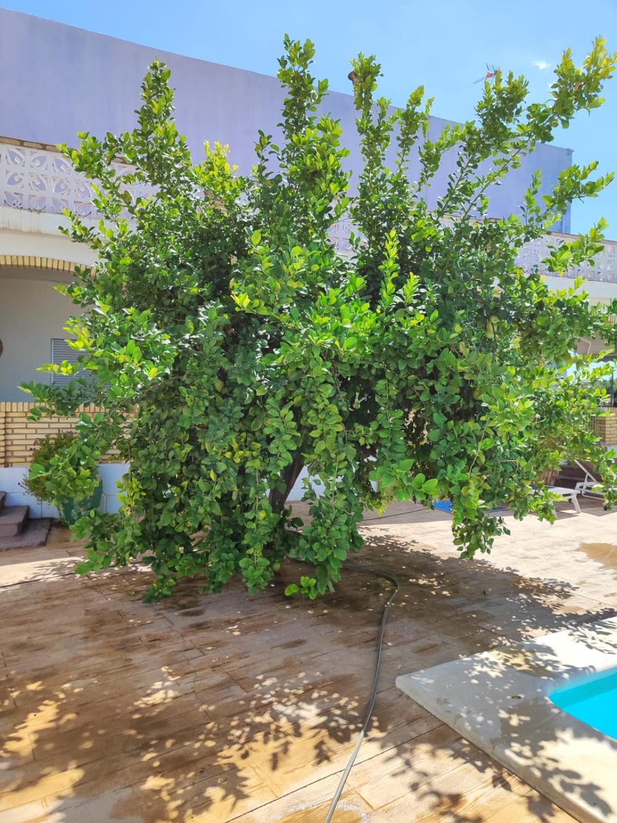 Вілла El Recreo, Private Pool & Bbq Godelleta Екстер'єр фото